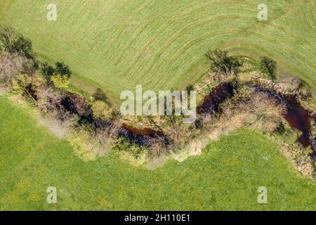 Immagine di una vista aerea del fiume Kleine Ohe, naturalmente serpeggiante, con alberi sulla riva circondati da prati verdi nella foresta bavarese, in Germania Foto Stock