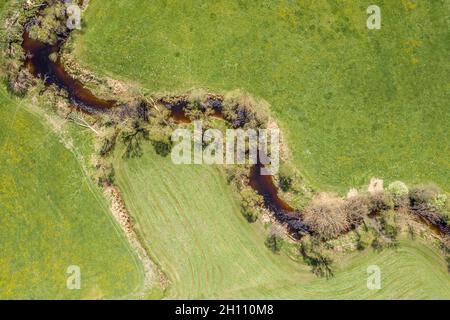 Immagine di una vista aerea del fiume Kleine Ohe, naturalmente serpeggiante, con alberi sulla riva circondati da prati verdi nella foresta bavarese, in Germania Foto Stock