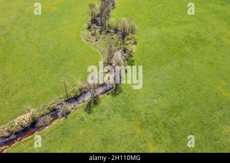 Immagine di una vista aerea del fiume Kleine Ohe, naturalmente serpeggiante, con alberi sulla riva circondati da prati verdi nella foresta bavarese, in Germania Foto Stock