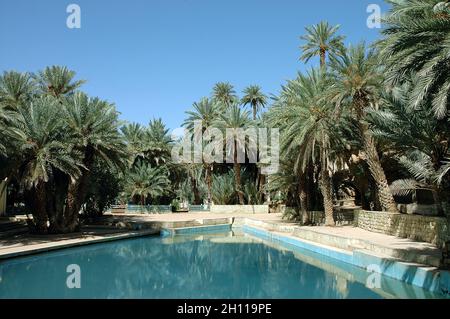 Tafilalet e Rissani, Marocco sudorientale Foto Stock