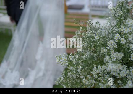 Cerimonia, arco, arco di nozze, matrimonio, momento di nozze, decorazioni, decorazioni, decorazioni per matrimoni, fiori, sedie, cerimonia all'aperto, bou Foto Stock