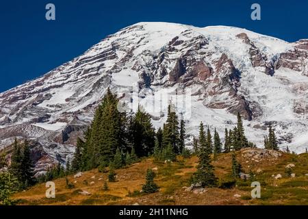 La neve di ottobre arriva nell'area Paradise del Mount Rainier National Park, Washington state, USA Foto Stock