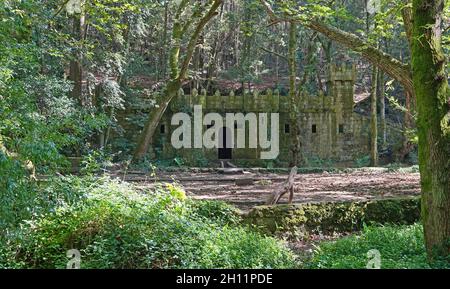 Castello abbandonato nella foresta incantata di Aldan, Spagna, Galizia, Pontevedra provincia Foto Stock