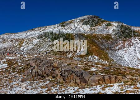 La neve di ottobre arriva allo Skyline Trail e al Panorama Point nella zona del Paradise del Mount Rainier National Park, Washington state, USA [No model releas Foto Stock