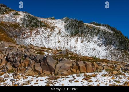 La neve di ottobre arriva allo Skyline Trail e al Panorama Point nell'area Paradise del Mount Rainier National Park, Washington state, USA Foto Stock
