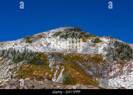 La neve di ottobre arriva allo Skyline Trail e al Panorama Point nella zona del Paradise del Mount Rainier National Park, Washington state, USA [No model releas Foto Stock