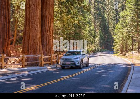 Un'auto che viaggia sulla General Highway attraverso i parchi nazionali Sequoia & Kings Canyon. Aeroporto di Tulare County, California, USA. Foto Stock