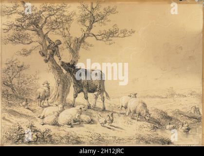 Paesaggio con animali e il ragazzo nella struttura ad albero, 1866. Eugène Joseph Verboeckhoven (belga, 1798-1881). Gesso nero o il pastello (extended con acqua in luoghi) e pennello e grigio e nero lavaggio, intensificato con gesso bianco; linee di delimitazione in gesso nero; foglio: 29,3 x 41,1 cm (11 9/16 x 16 3/16 in.); immagine: 28,6 x 39,8 cm (11 1/4 x 15 11/16 in.). Foto Stock