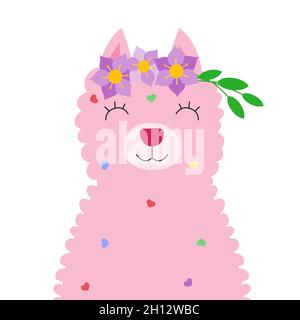 Llama alpaca colore rosa pelliccia lana carino vestendo fiore corona e sorriso isolato su sfondo bianco. Illustrazione vettoriale per poster, casi, tessuti, inviti alle feste, cartoline Illustrazione Vettoriale