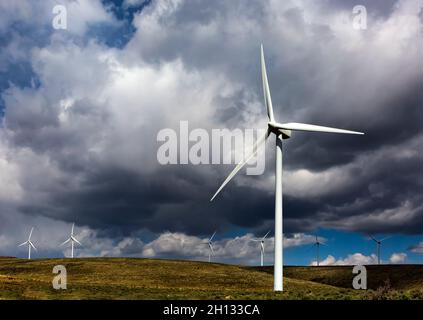 WA19668-00...WASHINGTON - turbine eoliche presso la Wild Horse Wind Farm vicino Ellensburg. Foto Stock