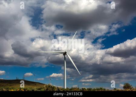 WA19669-00...WASHINGTON - turbine eoliche presso la Wild Horse Wind Farm vicino Ellensburg. Foto Stock