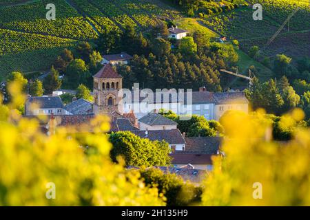 Village of Beaujolais and vineyards in France Stock Photo