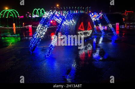 Ontario, Canada. 15 ottobre 2021. Un'installazione della luce a forma di ragno è vista ad uno spettacolo di luci drive-thru a Richmond Hill, Ontario, Canada, il 15 ottobre 2021. Lo spettacolo di luci a tema Halloween 'notti di luci' si svolge qui dal 1 al 31 ottobre di quest'anno. Credit: Zou Zheng/Xinhua/Alamy Live News Foto Stock