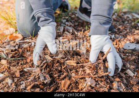 mani uomo giardinaggio guanti mostrare qualità di legno segatura pacciame o  decomporsi rifiuti organici su cumulo di compost Foto stock - Alamy