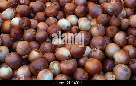 Il cibo vero dietro l'altro: Cipolle marroni e gialle. Scatto orizzontale. Primo piano Foto Stock