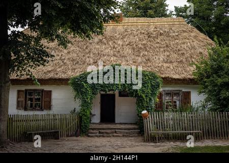 Sierpc, Polonia - 23 luglio 2021: Una tradizionale casa in legno bianco con tetto di paglia. Finestre con persiane, arrampicata vite sul portico. Foto Stock