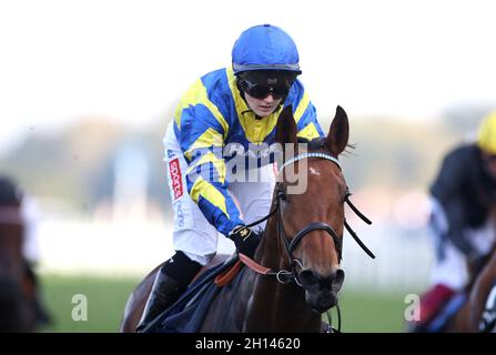 Trueshan guidato dal jockey Hollie Doyle vince la Qipco British Champions Long Distance Cup durante la Qipco British Champions Day all'ippodromo di Ascot. Data foto: Sabato 16 ottobre 2021. Foto Stock