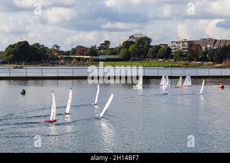 Poole, Dorset, Regno Unito. 16 ottobre 2021. Clima del Regno Unito: Una bella giornata calda e soleggiata a Poole con temperature molto elevate mentre i visitatori si dirigono verso il Poole Park per godersi le attività, l'esercizio fisico e il sole autunnale. Gli appassionati di imbarcazioni radiocomandate potranno correre intorno al lago con le loro barche Dragon Force 65 DragonForce 65. Crediti: Carolyn Jenkins/Alamy Live News Foto Stock