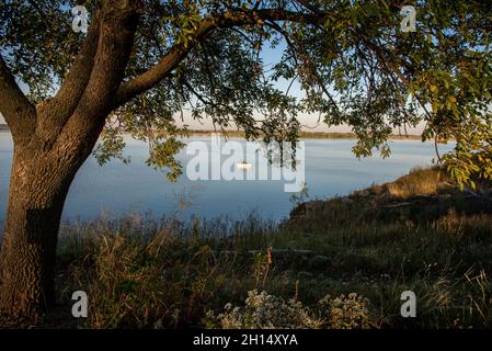 Al mattino presto, due uomini pescano da una piccola barca su un lago tranquillo, incorniciato da un albero, una scena tranquilla. Foto Stock