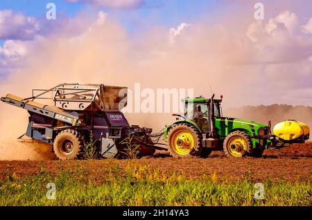 Un coltivatore raccoglie le arachidi usando una combinazione di arachidi, il 15 ottobre 2021, in Grand Bay, Alabama. Foto Stock