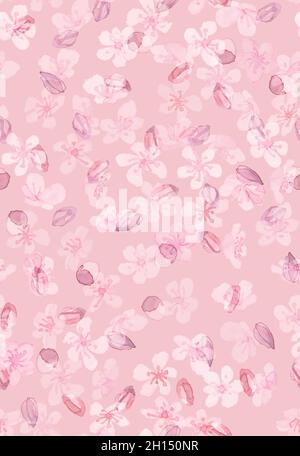 Sakura Blossom bianco. Acquerello Cherry Branch. Illustrazione Vettoriale