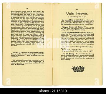 All'interno della pagina intitolata scopi utili (di miele) e un cestino di frutta o verdura disegno piede targa - da un originale 1920 's sano mangiare libretto dalla Salute da cibo biblioteca (no.12), Da famoso produttore di salute del cibo del tempo e proprietario del primo negozio di alimenti per la salute - James Henry Cook- questo nella serie è intitolato 'Miele e il Bee' include ricette utilizzando il miele, pubblicato a Birmingham, Inghilterra, Regno Unito, datato 1927 Foto Stock