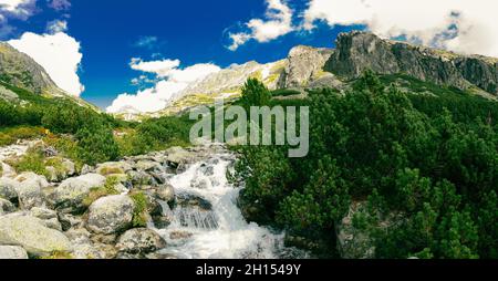 Vista panoramica della cascata di Skok e del lago accanto ad essa nella parte occidentale degli alti Tatra, Slovacchia Foto Stock