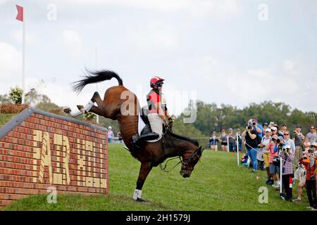 Fair Hill, MD, USA. 16 ottobre 2021. 16 ottobre 2021: Bruce O. Davidson Jr. (USA), a bordo di Jak My Style, compete durante il Cross Country Test al livello 5* durante il Maryland Five-Star alla Fair Hill Special Event zone di Fair Hill, Maryland il 16 ottobre 2021. Jon Durr/Eclipse Sportswire/CSM/Alamy Live News Foto Stock