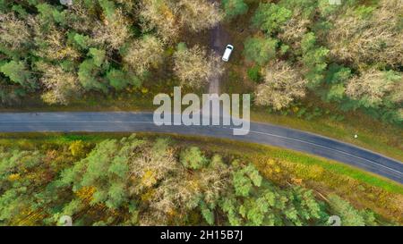 Vista dall'alto di foreste, alberi. Antichi boschi di alberi sempreverdi nel parco nazionale, patrimonio dell'umanità dell'UNESCO. Paesaggio autunnale fotografato con un drone. Foto Stock
