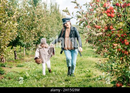 mamma e la sua bambina camminando e raccogliendo mele in giardino. vendemmia autunno. frutteto di mele, giardino selvatico Foto Stock