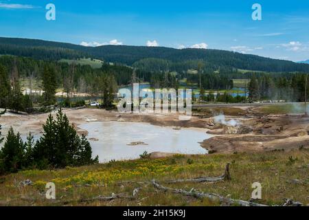 Sorgenti termali di Muddy, Mud Volcano Thermal Area, Yellowstone National Park, Wyoming Foto Stock