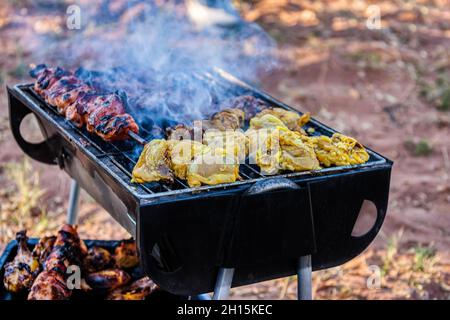 Barbecue misto con pollo, spiedini, manzo, vacanze all'aperto Foto Stock