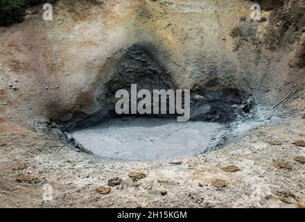 Sorgenti termali di Muddy, Mud Volcano Thermal Area, Yellowstone National Park, Wyoming Foto Stock