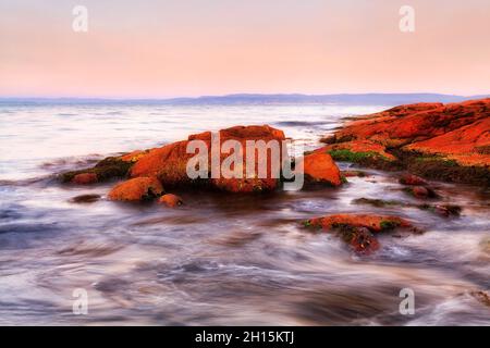 Cielo rosa panoramico all'alba nella costa del Pacifico della Tasmania di Coles Bay, Australia - massi di granito rosso con alghe e crostacei. Foto Stock