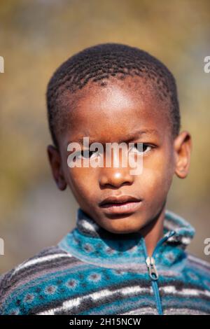 Ritratto di capretto africano nel cortile del villaggio in Botswana, zona rurale Foto Stock