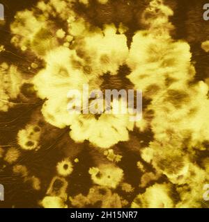 Tie Dye Spiral background. Stampa artistica gialla. Foto Stock