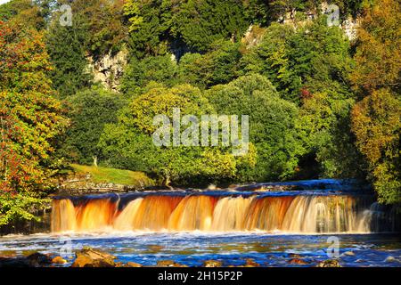 Wain Wath Force Waterfall in un Sunny Autumn Day, Yorkshire Dales National Park, Inghilterra, Regno Unito. Foto Stock