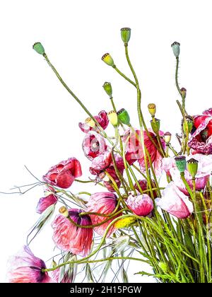Bouquet misto di fiori selvatici, erbe e papaveri, in un vaso di vetro. Foto Stock