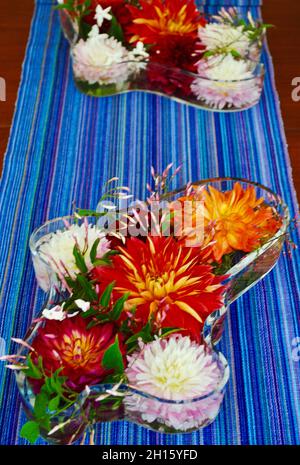 Vassoio in vetro progettato da Alvar Aalto con dahlias galleggiante su canale blu Foto Stock