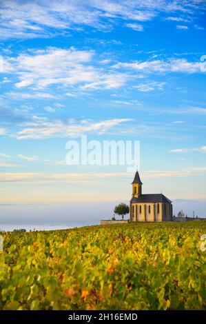 Vineyards and church in Beaujolais with a large blue sky at sunrise, France Stock Photo