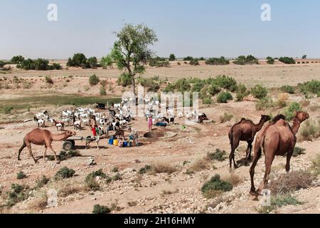 Il pozzo nell'oasi, il deserto del Pakistan Foto Stock