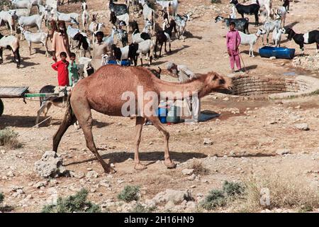 Il pozzo nell'oasi, il deserto del Pakistan Foto Stock