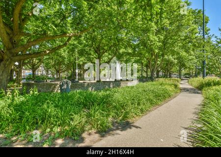 Percorso ondulato tra erba verde nel parco cittadino con alberi in crescita e fontana nella giornata di sole ad Amsterdam Paesi Bassi Foto Stock