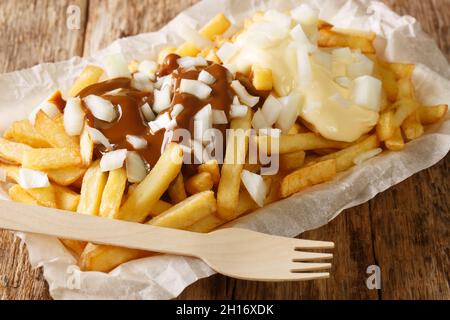 Fast food olandese Patatje oorlog patatine fritte con salse e cipolle fresche primo piano in un piatto sul tavolo. Orizzontale Foto Stock