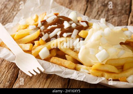 Patatje oorlog è un piatto di Street food olandese composto da patatine fritte con una maionese, cipolle tritate finemente e salsa di arachidi closeup nel piatto o Foto Stock