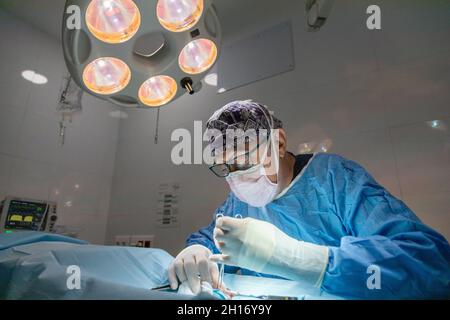 Da sotto di giovane agricoltore femminile in maschera di protezione raccolta olive mature su albero in campo Foto Stock