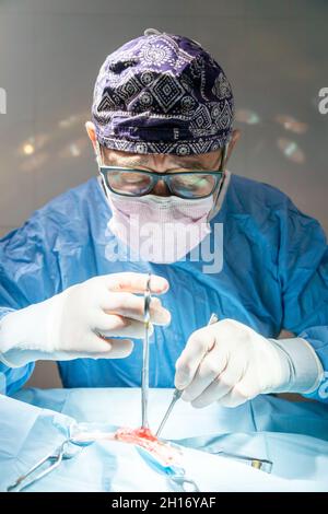 Tranquilla donna incinta seduta sul tappetino che guarda via mentre fa riposarsi dallo yoga e praticare la consapevolezza Foto Stock