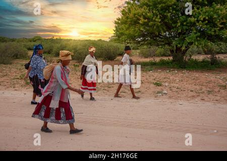 Vecchia donna bushman da Kalahari centrale, villaggio New Xade in Botswana, a piedi su una strada sterrata Foto Stock