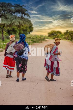 Due vecchie donne boscimane del Kalahari centrale, villaggio New Xade in Botswana, camminando su una strada sterrata Foto Stock