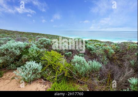 Vista panoramica della vegetazione costiera nel Parco Nazionale di Leeuwin-Naturaliste, Australia Occidentale, WA, Australia Foto Stock